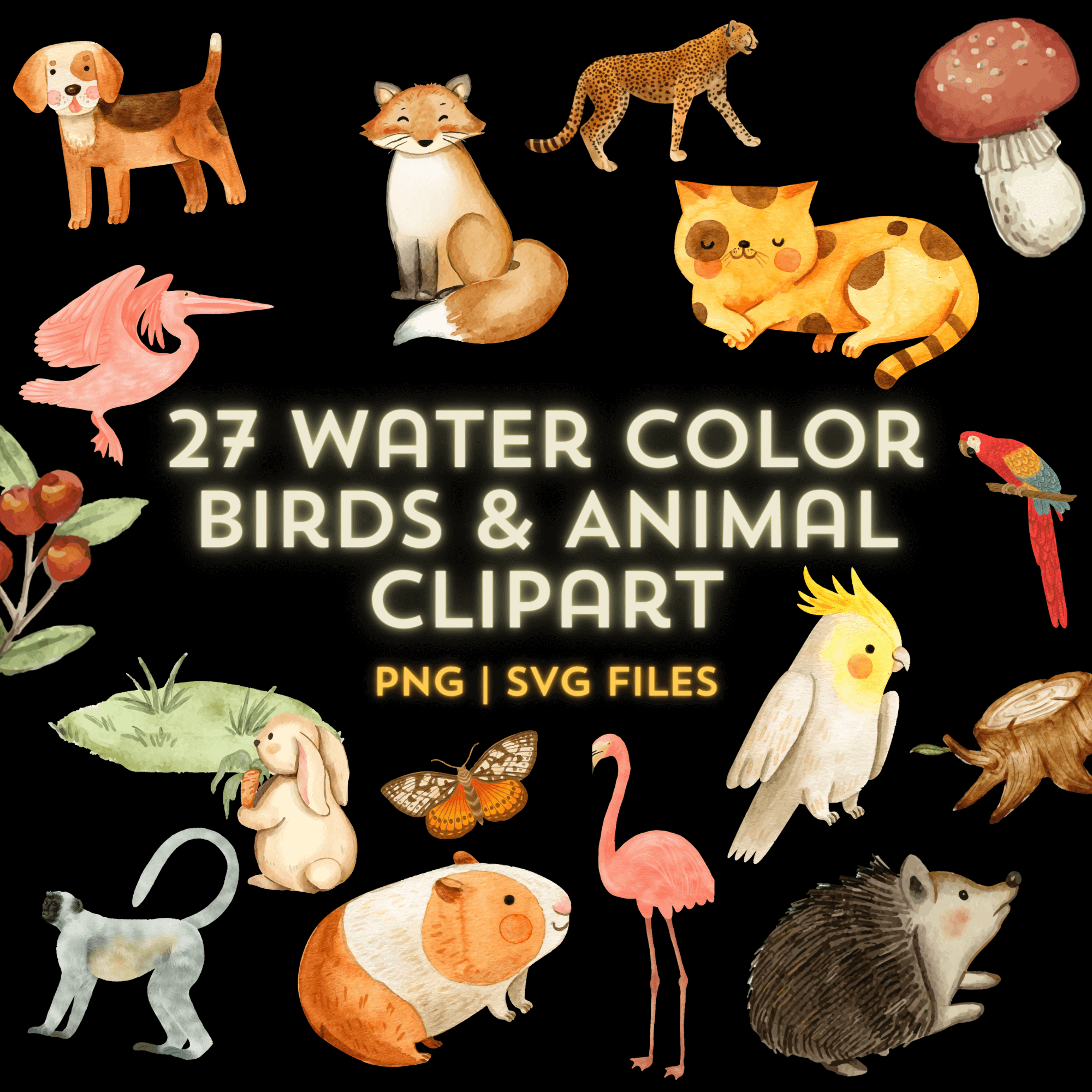 Watercolor Bird Clipart - Hummingbird Design