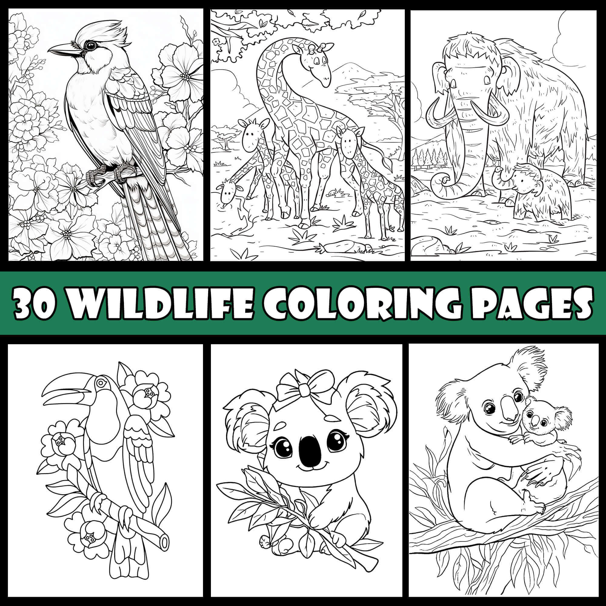 Wildlife Coloring Pages